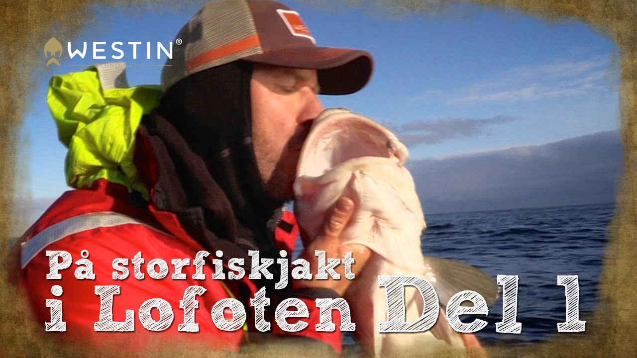 På storfiskjakt i Lofoten - Ep1