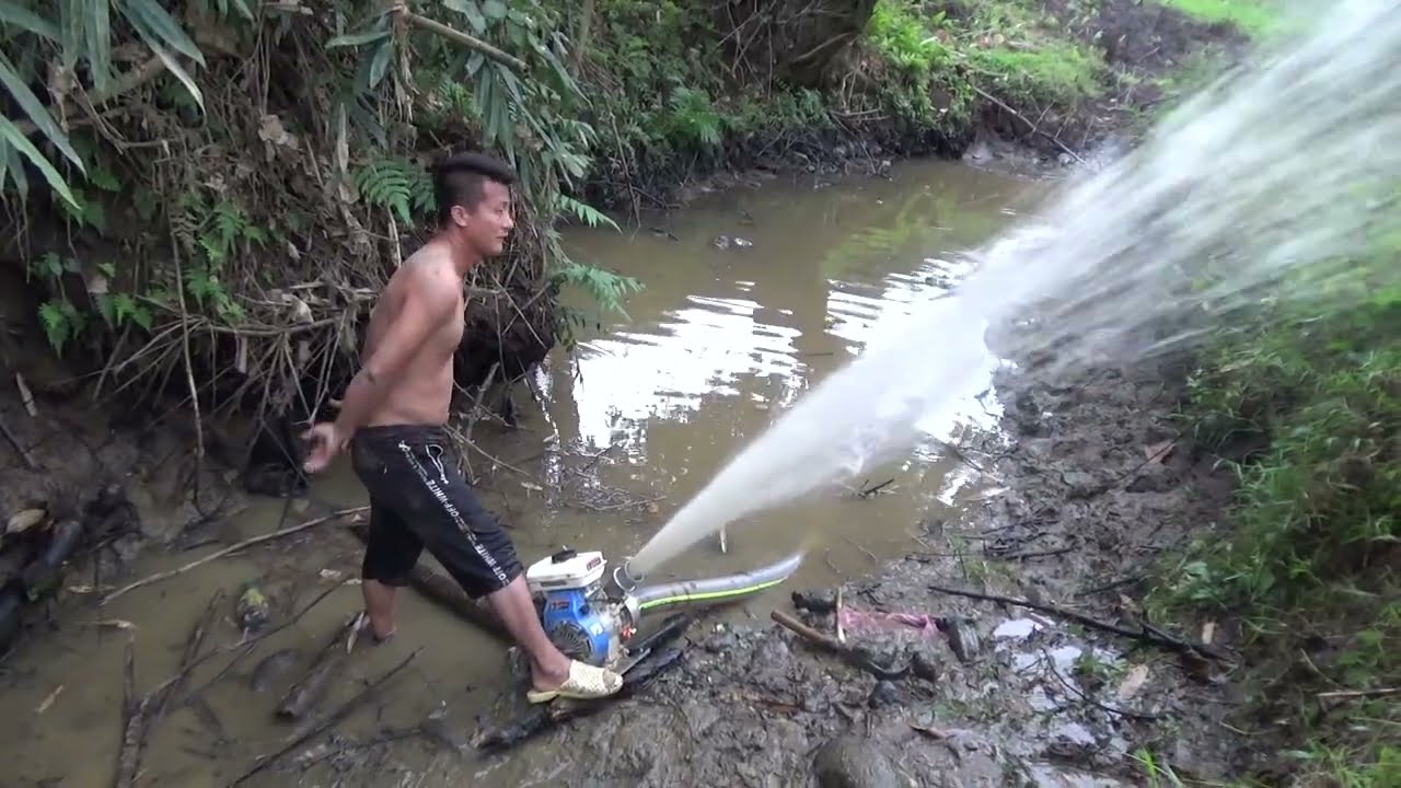 Meet big snake in wild lake - technology Use a large capacity water pump to find fish