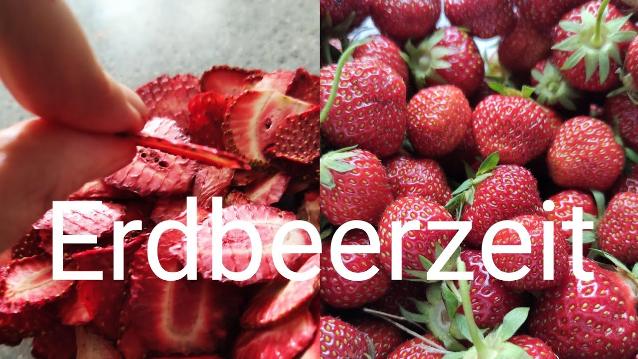 ERDBEERZEIT 1 /Erdbeeren haltbar machen ohne einkochen/ 2 leckere Rezepte