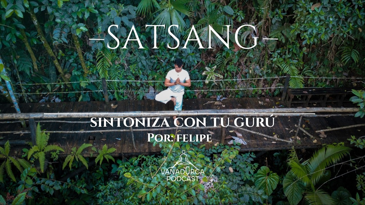 Sintoniza con tu gurú