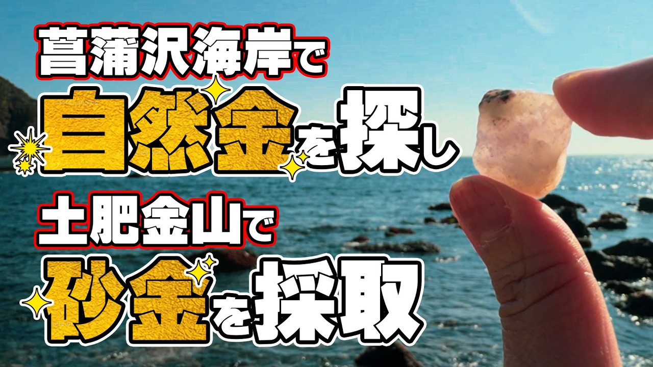 史上最高値、金価格1グラムあたり29860円！日頃のパンニングの成果を試す時が来た！菖蒲沢海岸で自然金を探し土肥金山で砂金採取を楽しむ