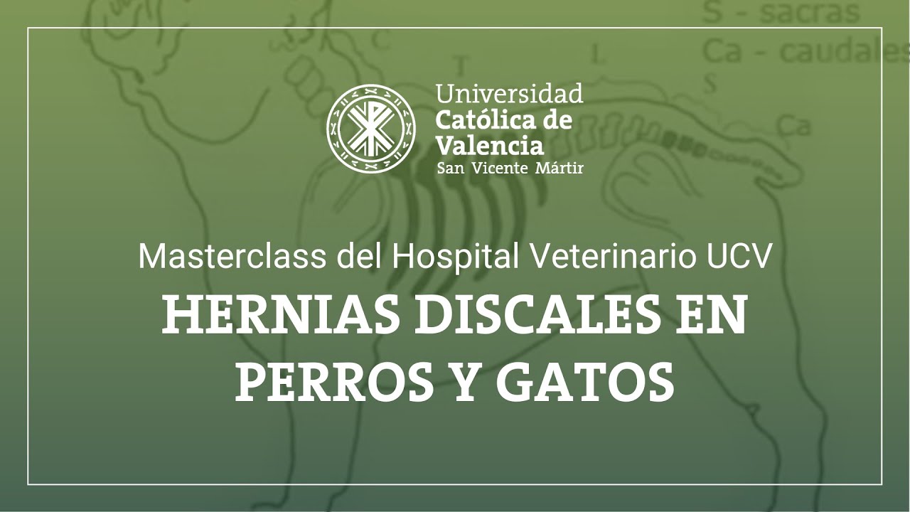 Masterclass del Hospital Veterinario UCV
