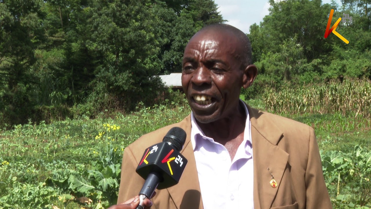 Land of tears: Embakasi ranching wrangles