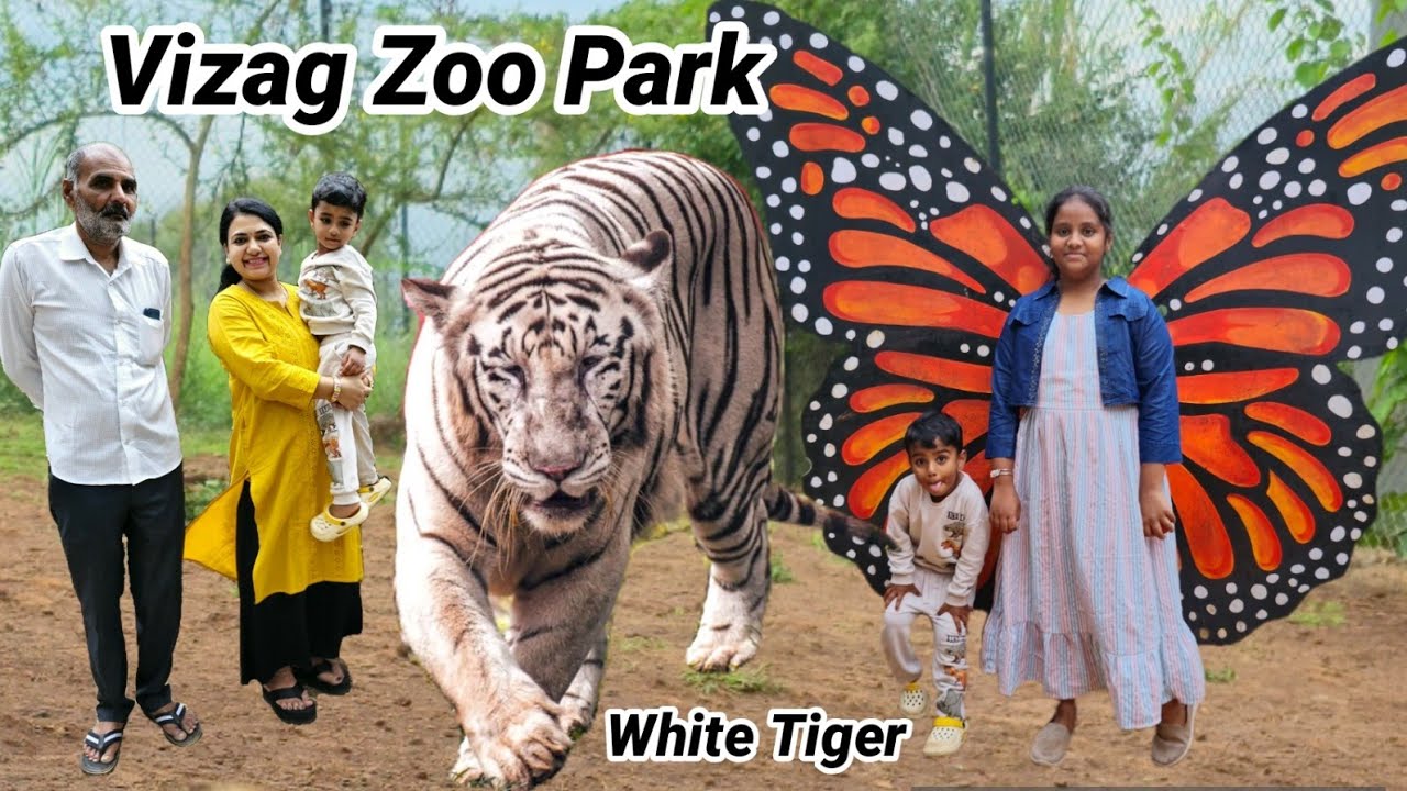 Vizag Zoo Park || Every Kid Favourite Place @RitusWonderLife 