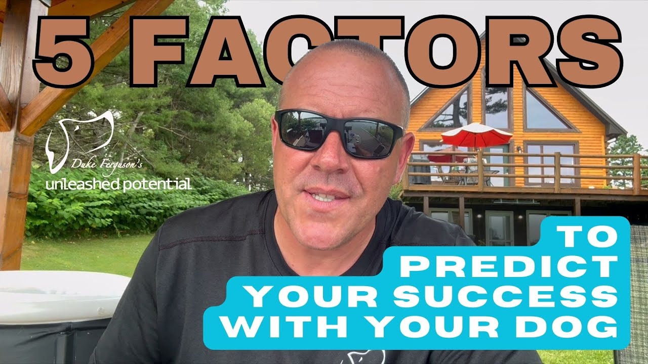 5 Factors To Predict Your Success With Your Dog