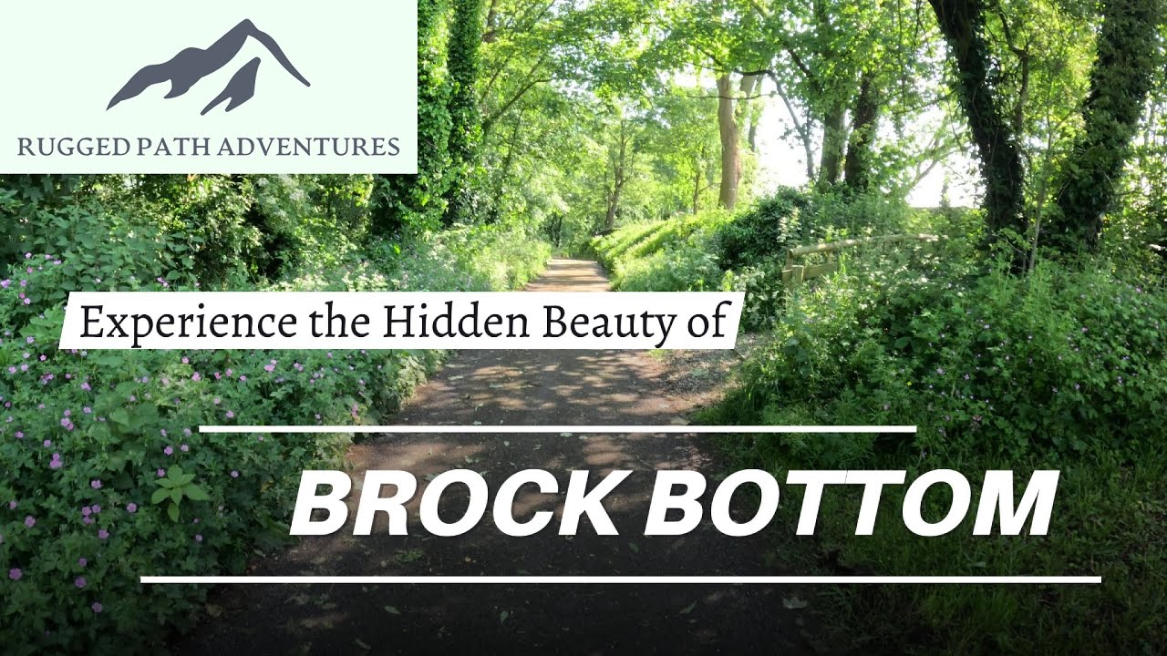 Hidden Gem! Brock Bottom River Walk