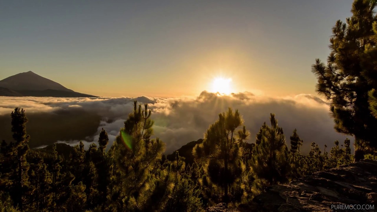 Life above clouds - Tenerife timelapse