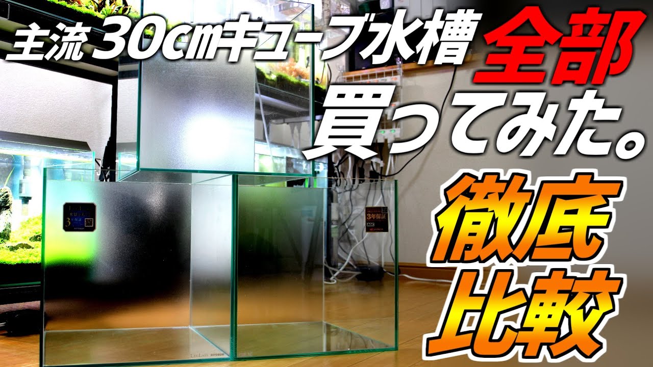主流30㎝キューブ水槽全部買ってみた。超分かりやすく徹底比較！購入時のポイントなども徹底網羅！#138【アクアリウム】