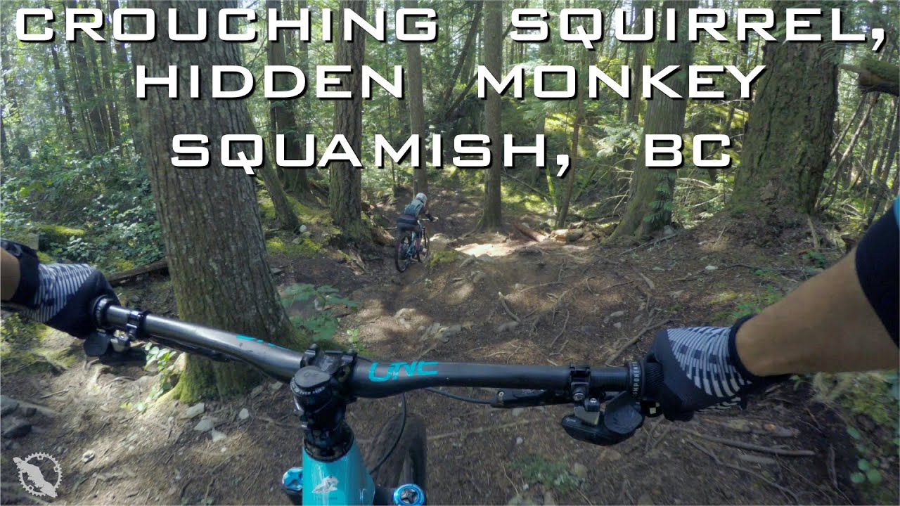 Crouching Squirrel, Hidden Monkey - Alice Lake, Squamish BC