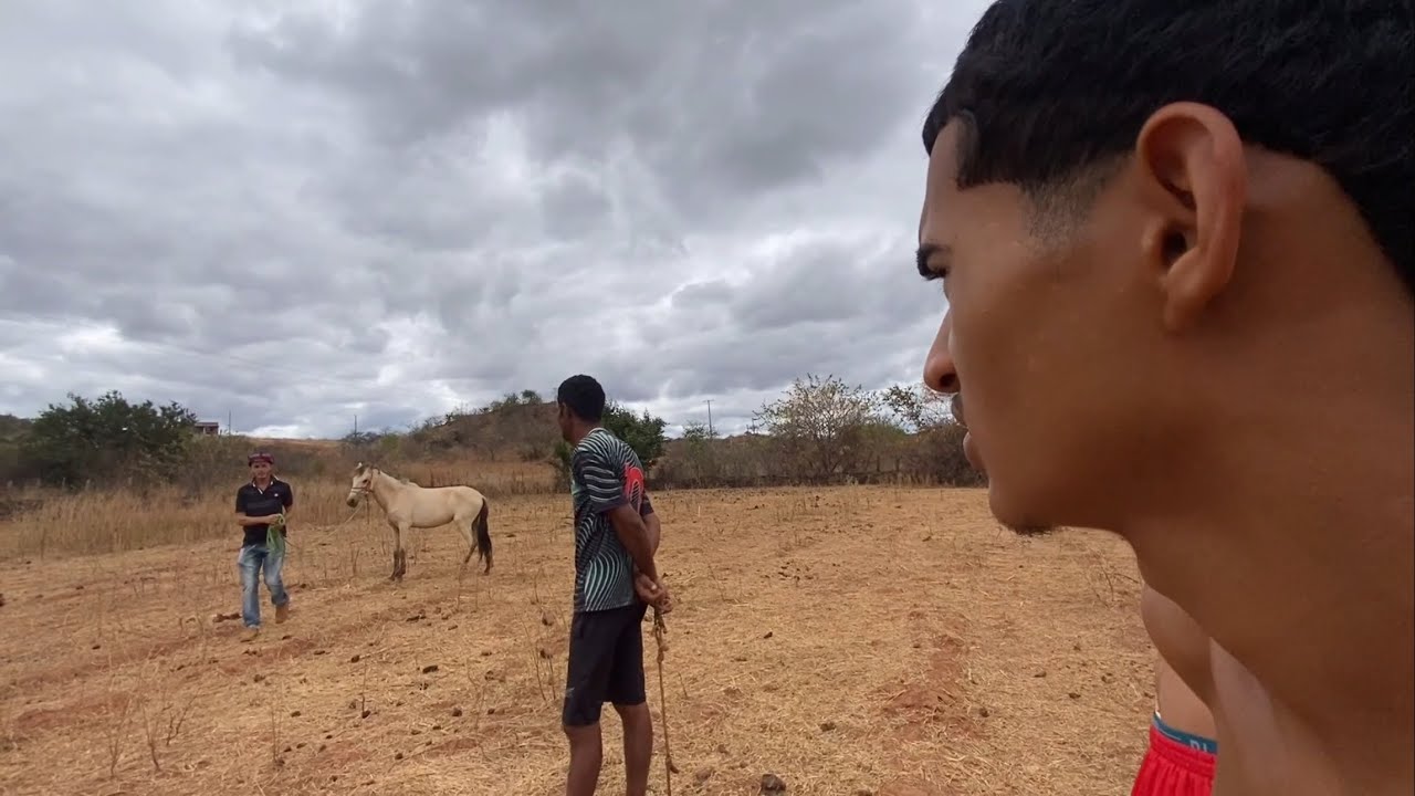 BRUTINHO FOI BUSCAR ÉGUA BRABA E O PI0R ACONTECEU