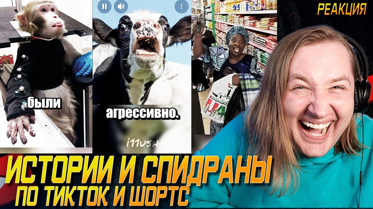 ТикТок и Шортc - Истории от i11ushenka - Животные тупо ни за что получили! (РЕАКЦИЯ) | ТипоТоп