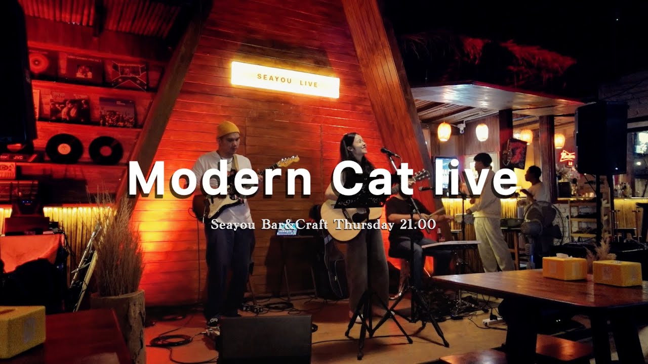 ModernCat (Only Song) Live at SeaYou Bar&Craft