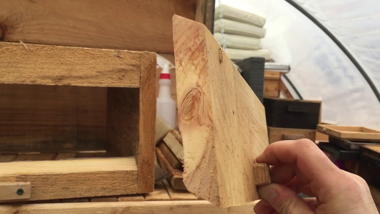 How to build an observation hive body