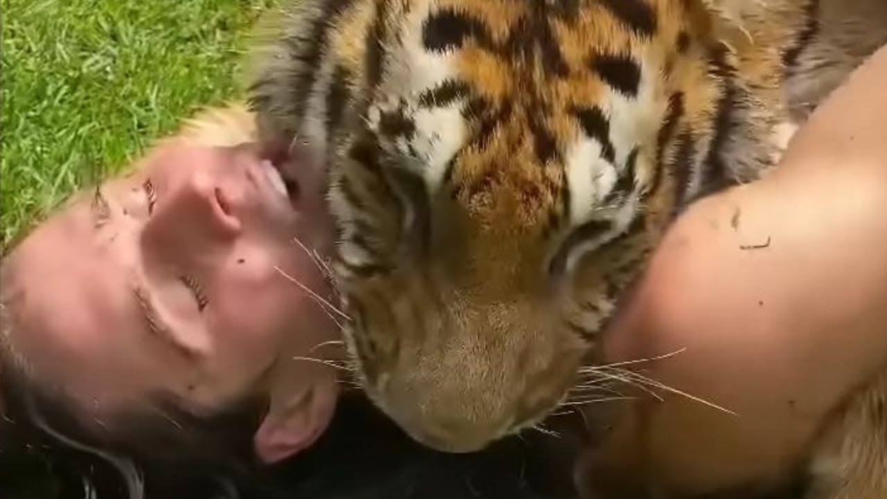INCRE&Iacute;BLES REENCUENTROS: ANIMALES Y HUMANOS UNIDOS POR EL AMOR #animales #humanos