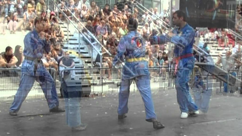 THE VOVINAM : MAITRE LE VAN HUNG 2012 FOIRE DE MARSEILLE