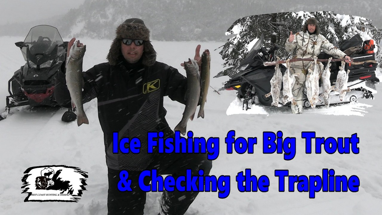 Catching Big Trout & Checking the Trapline