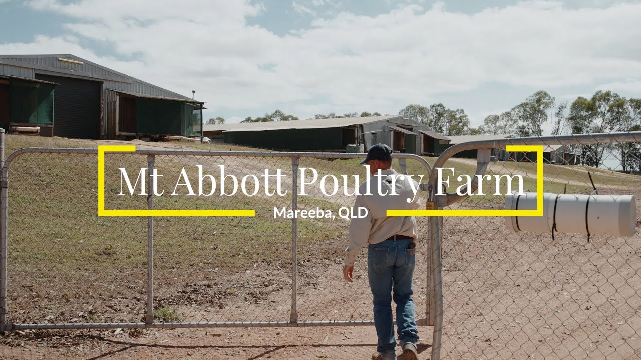 Mount Abbott Poultry Farm, Mareeba, Qld.
