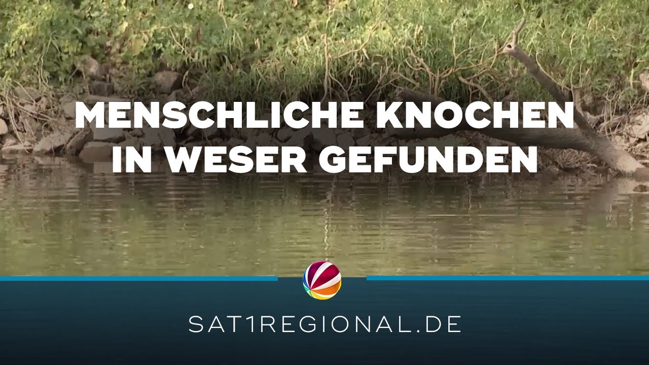 Fund von Menschenknochen in Hameln – Polizei ermittelt