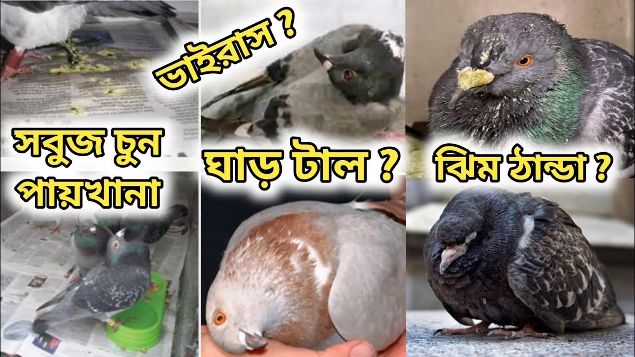 ভুল মিডিসিন দিলেই শেষ 😱 ভয় পাবেন না সব জেনে নিন 