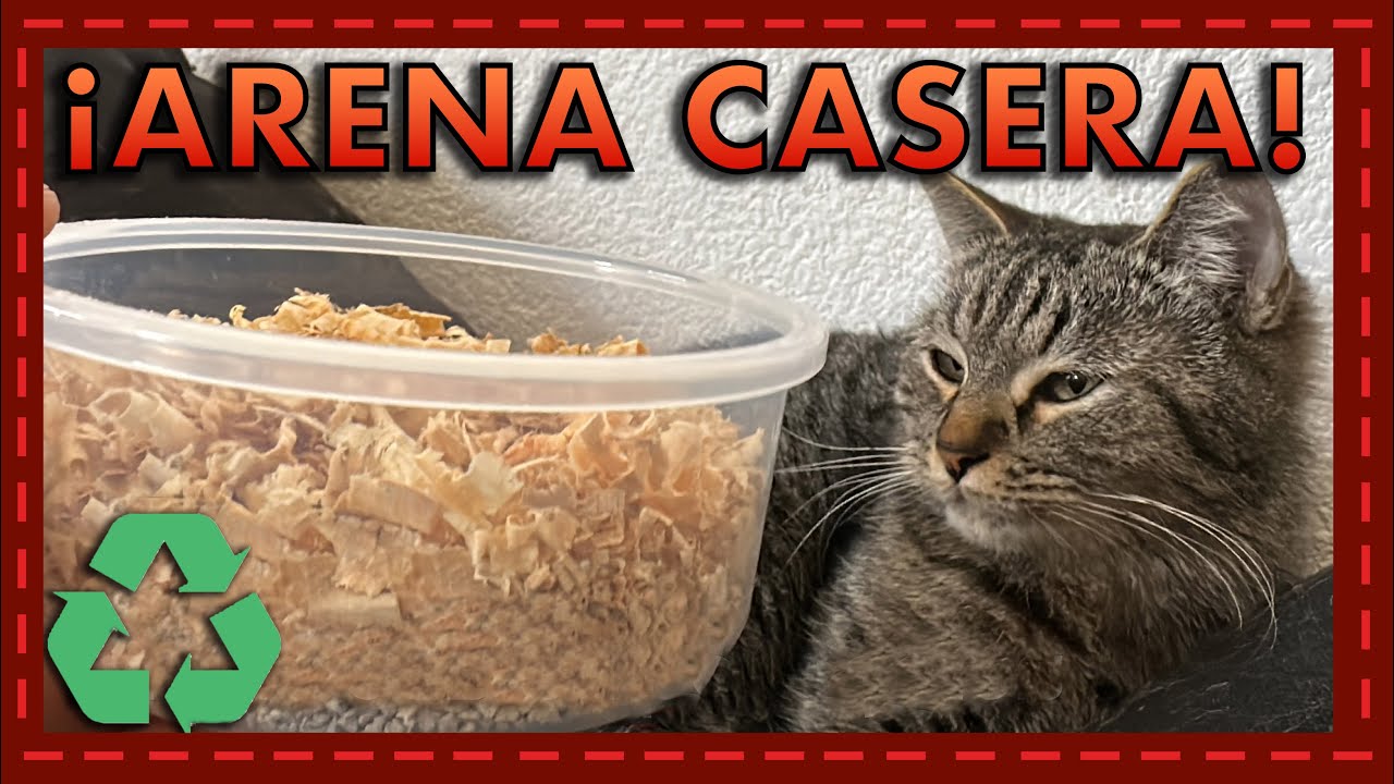 Arena Ecológica para Gatos | Hazla Tú Mismo y Ahorra Dinero 🐱♻️💰