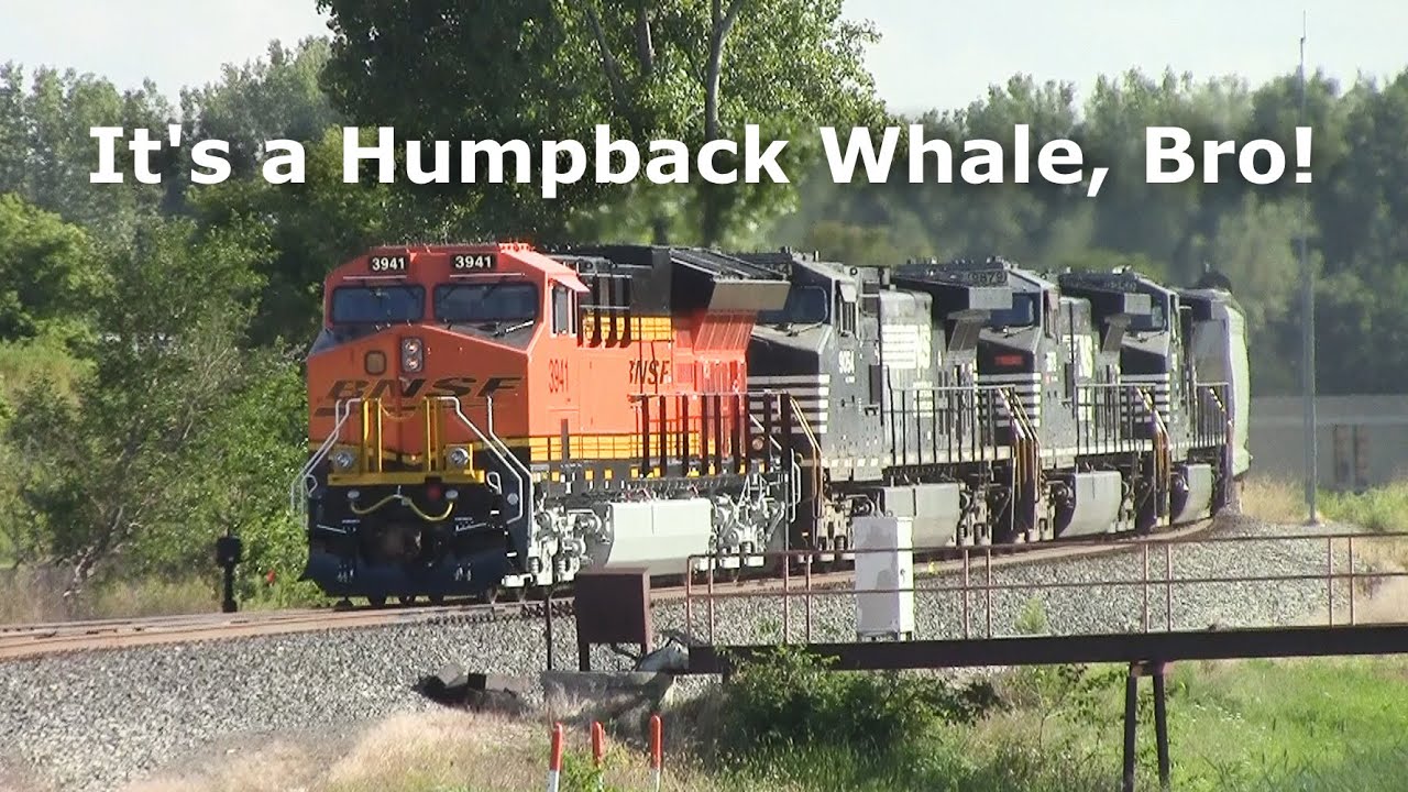 A brand new BNSF ET44C4 leads the NS 10R!