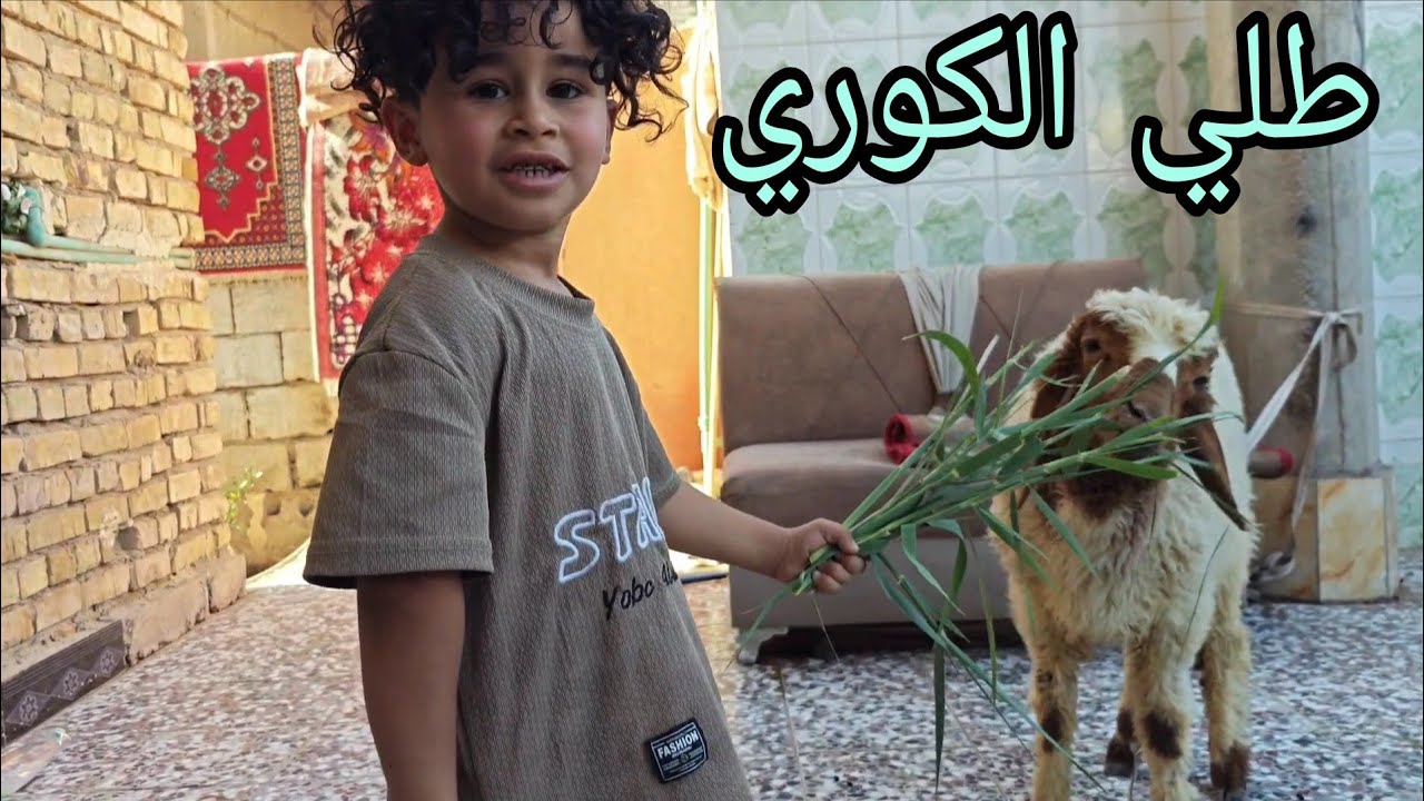 جبت طلي للكوري بمناسبة عيد الاضحى🐑😂