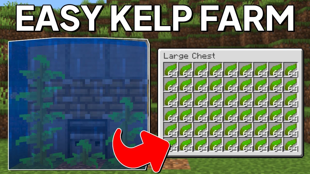 Minecraft Kelp Farm 1.21.8