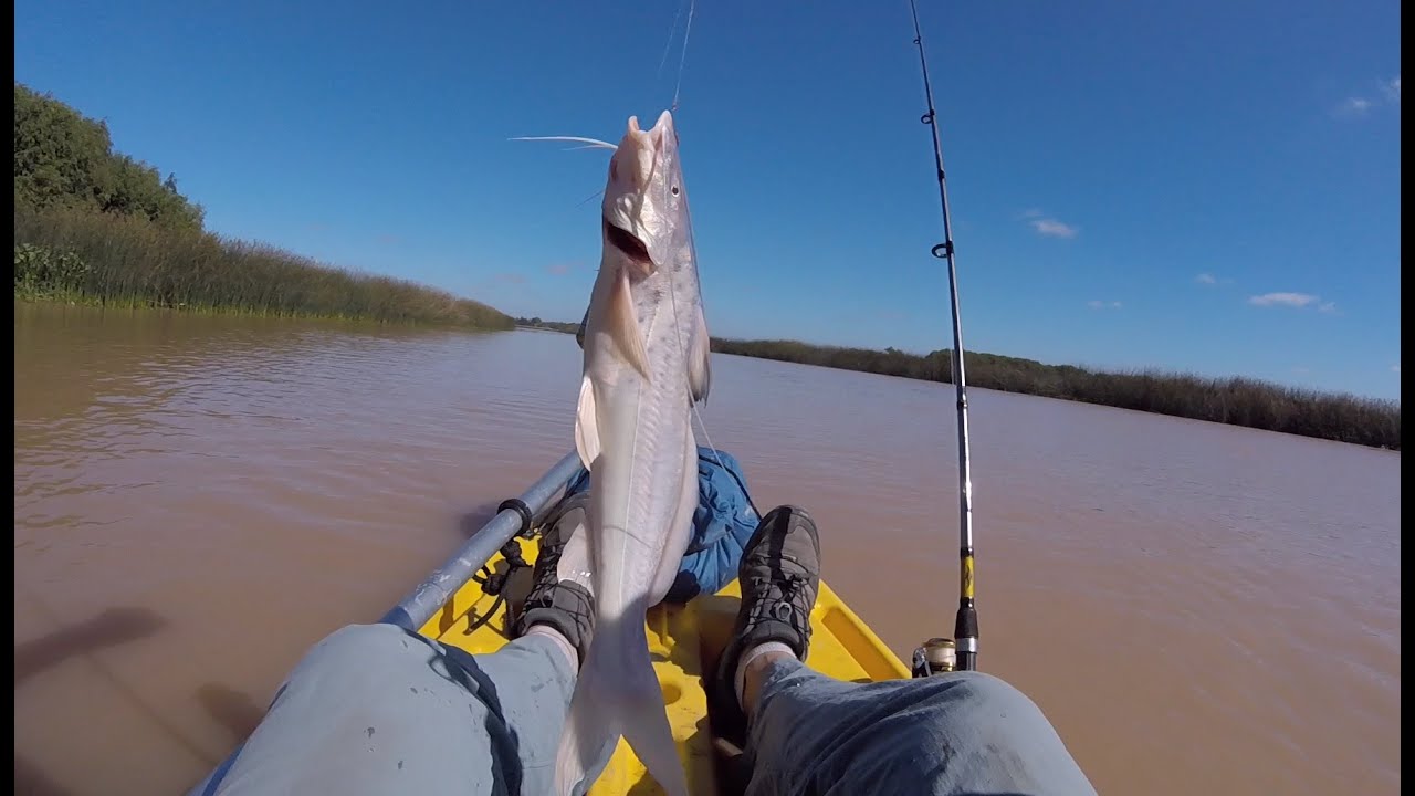 INCREIBLE PESCA EN KAYAK  | El paraíso oculto del Río de la Plata (2da Parte)