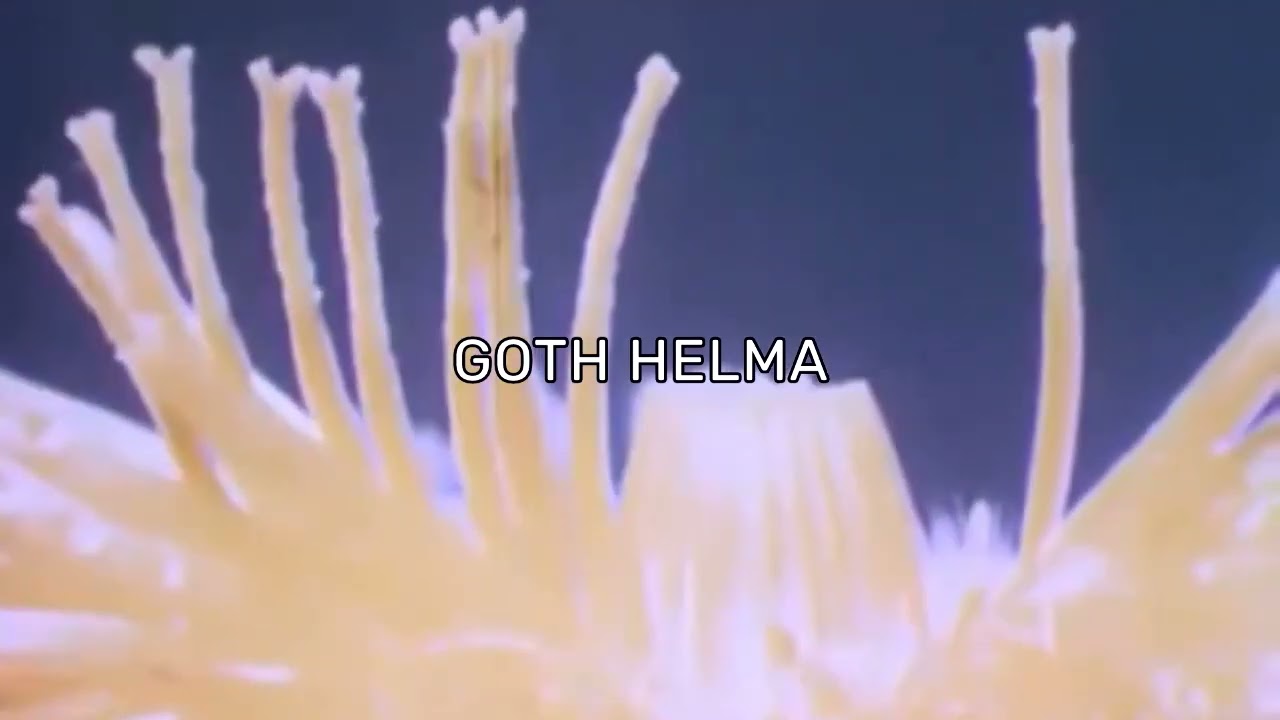 [FREE] SAD $UICIDEBOY$ TYPE BEAT 
