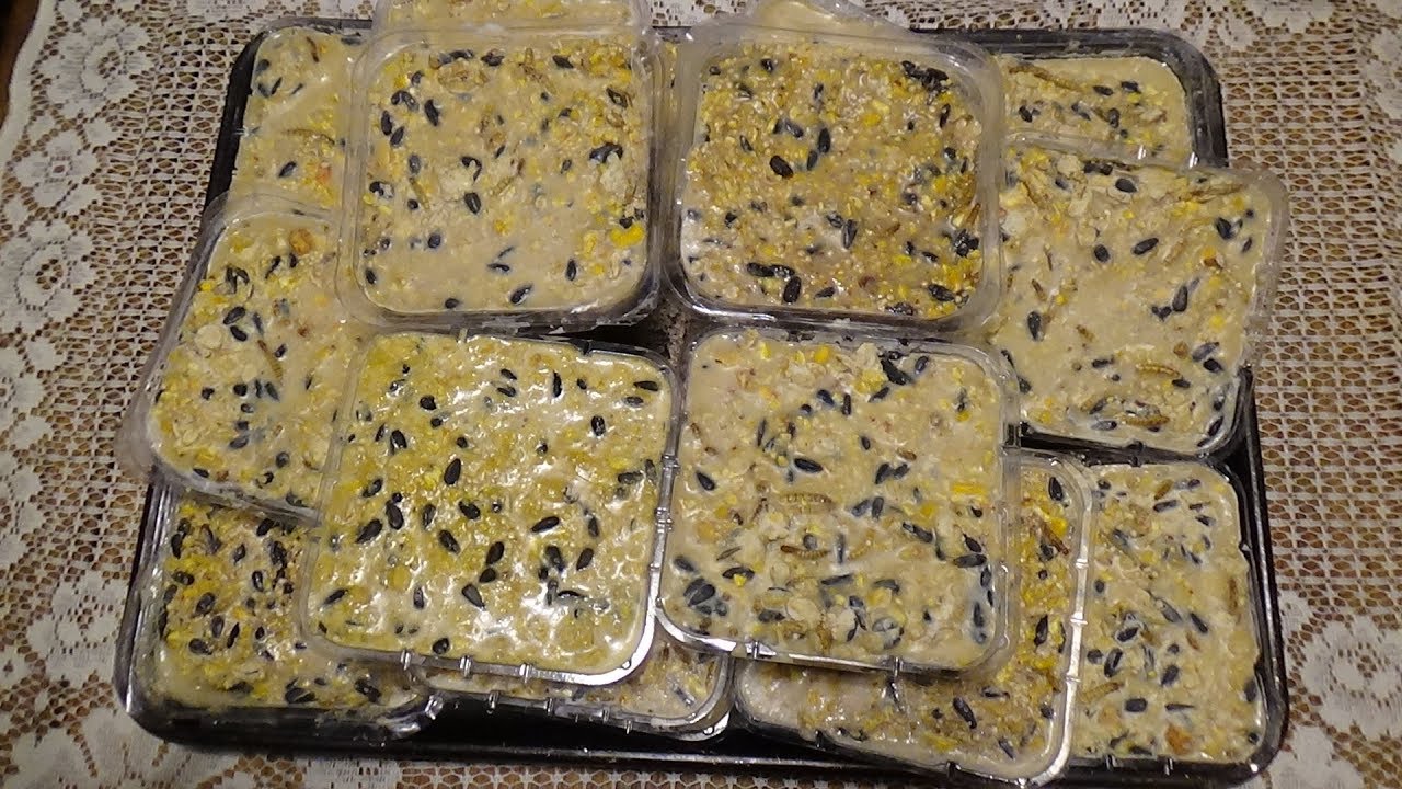 Making Suet Cakes