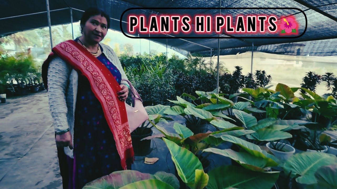 Mummy ko bhayi nurseri🌿|VLOG