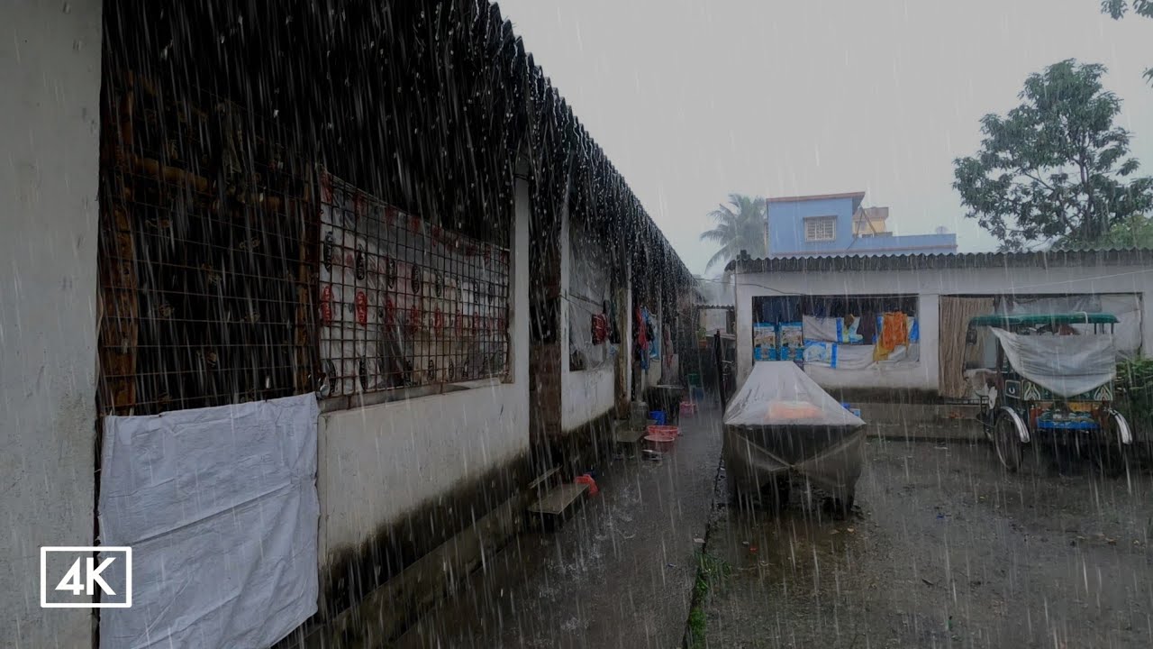 Walking in the Rain 4K - Rain Sounds for Deep Sleep Study and Meditation