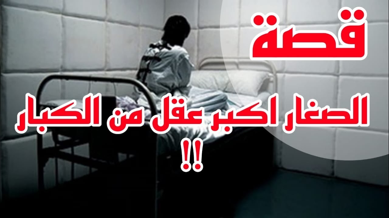 1046- قصة الصغار اكبر عقل من الكبار 🤔