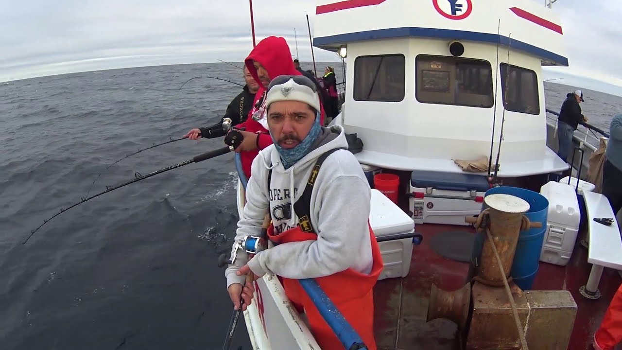 Pollock Jigging - With Shark Action