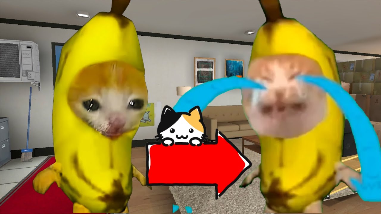 バナナ猫のストーリー総集編【Gmod】
