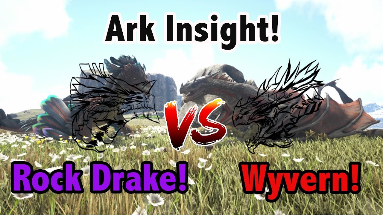 Ark Insight! - Rock Drake V.S Wyvern!