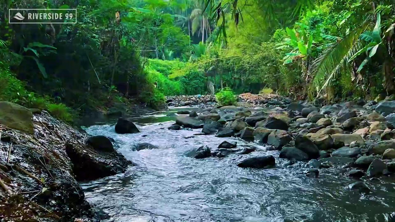 Mountain River Flowing Sounds 24/7 for Sleeping | Nature Water Sounds White Noise for Relaxation #1