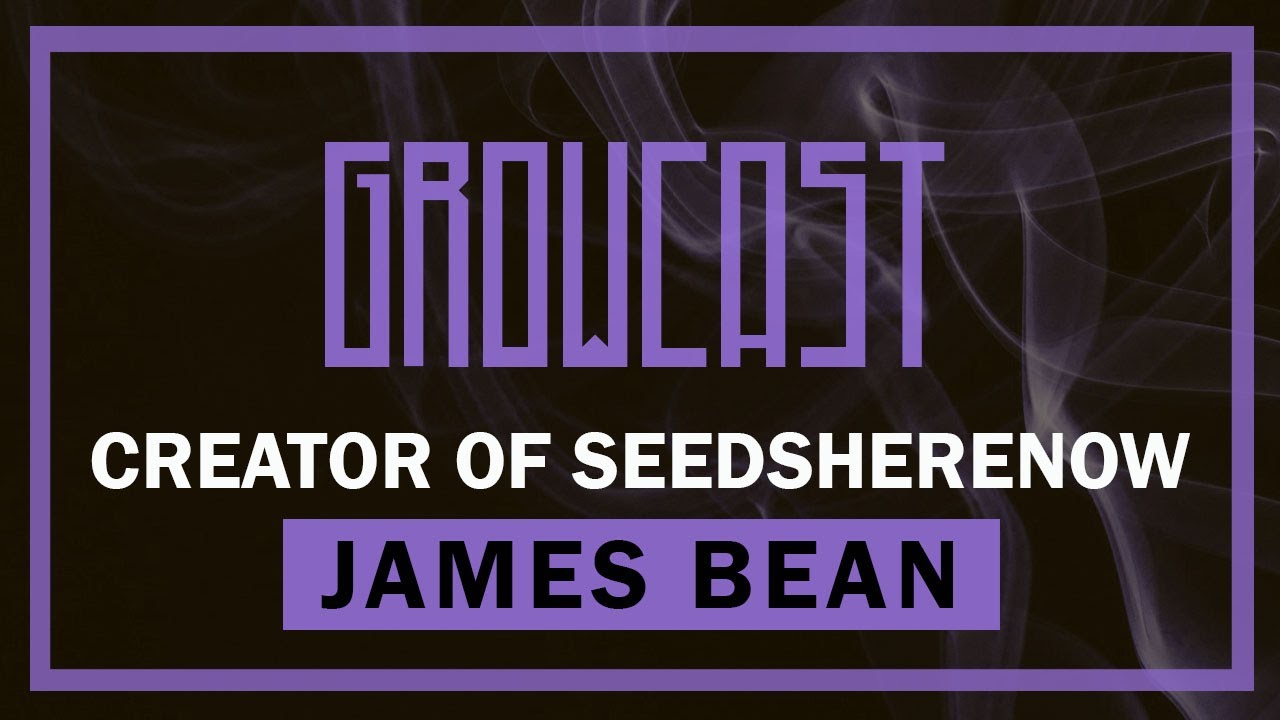 🌱James Bean on Big Breeder Collabs, Strain History, Cannabis Scams and More