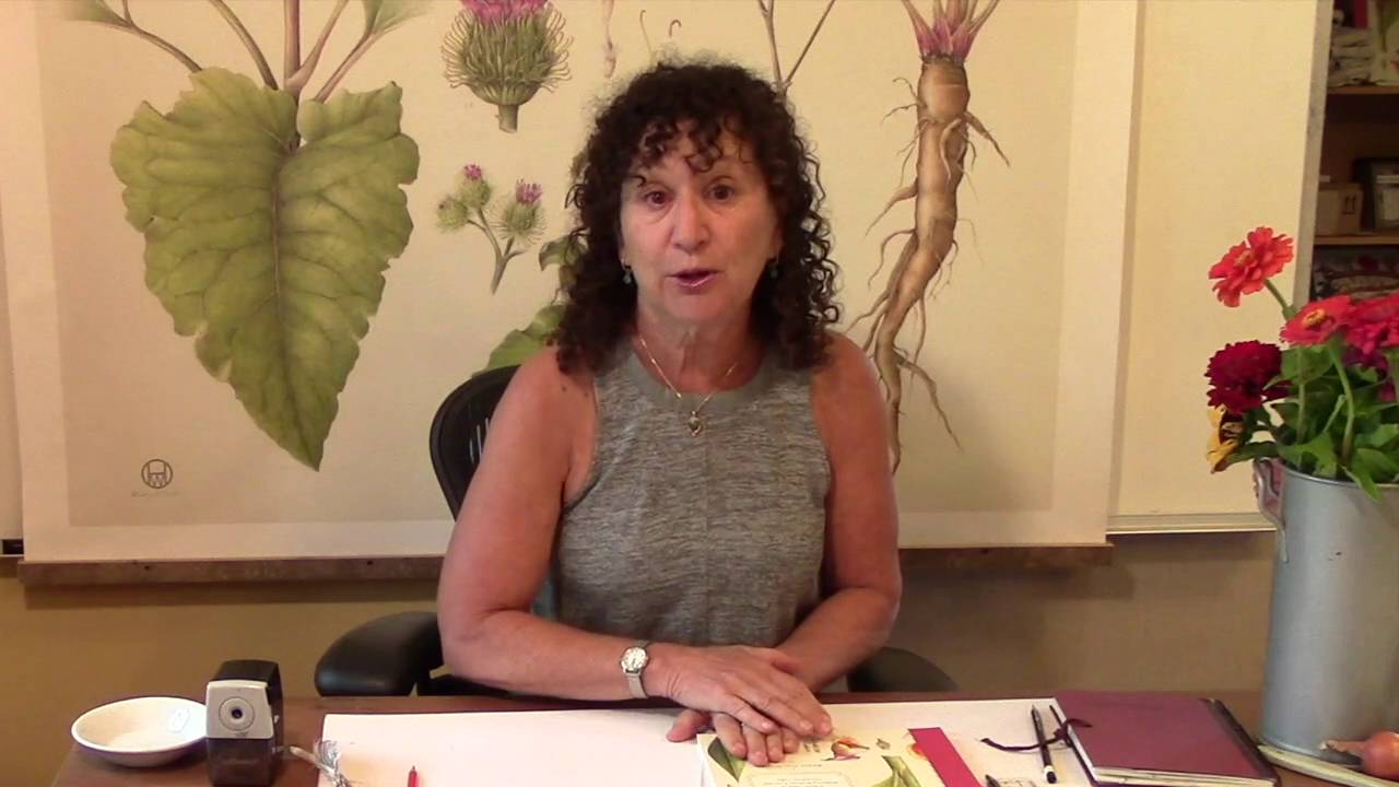 Botanical Drawing Online Program Description