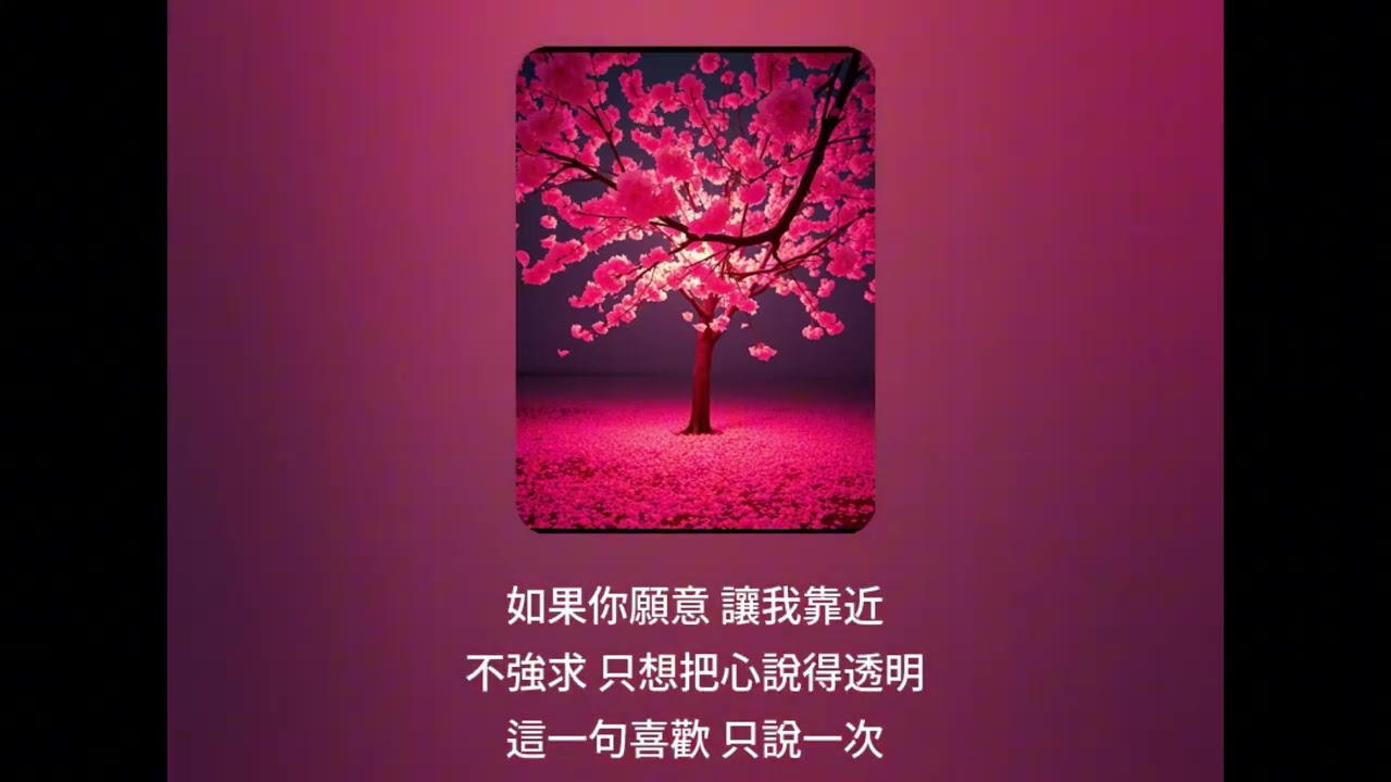 魚小丸  如果你願意