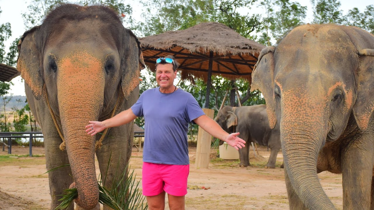 The Elephant sanctuary Thailand 🇹🇭