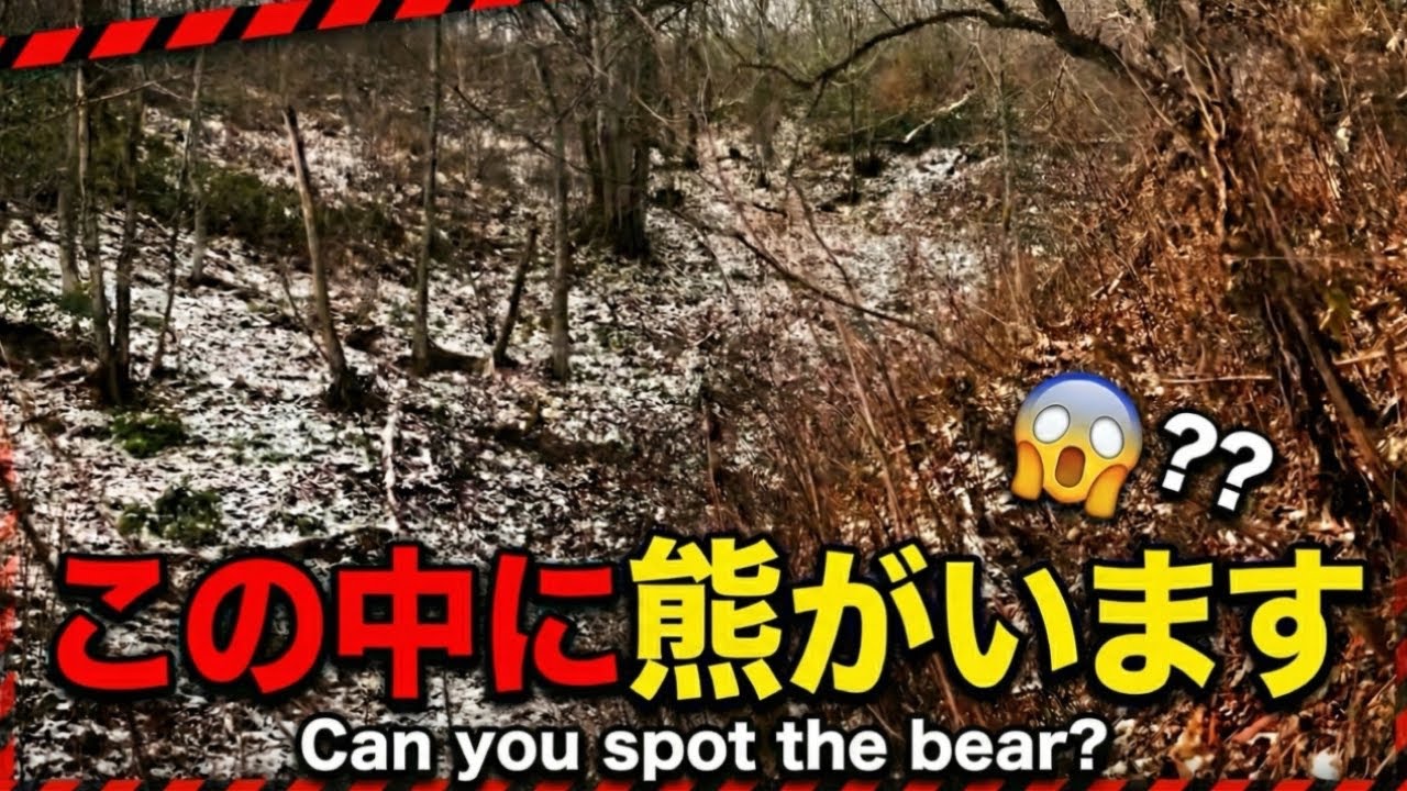熊の餌場忍び猟！冬眠場所へと移動。熊の忍び猟は発砲で終結！