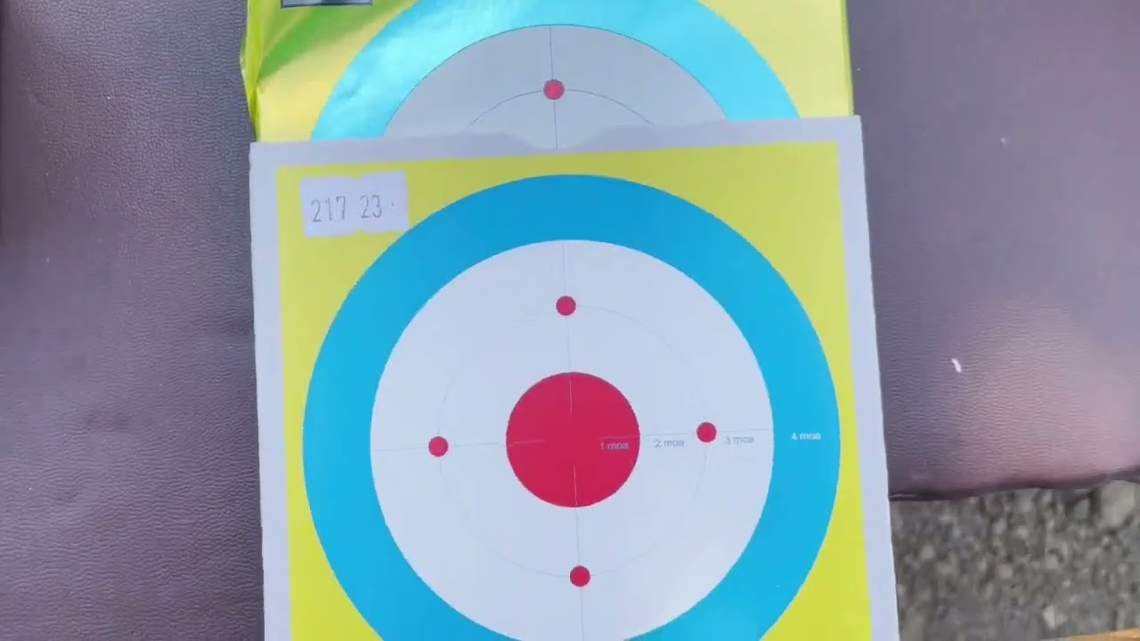 fx impact .22 mk2 old verses new design Zan slugs in 23g