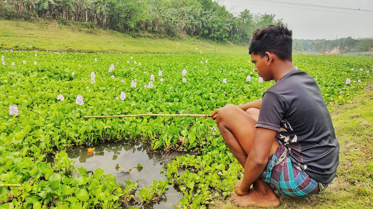 Hook Fishing Video ~ Traditional Little Boy Hunting /catching fish using fish hook in village river