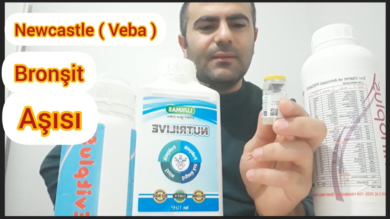 Tavuklara ve civcivlere ikili karma Aşı Nasıl Yapılır. Veba bronşit #tavuk #civciv