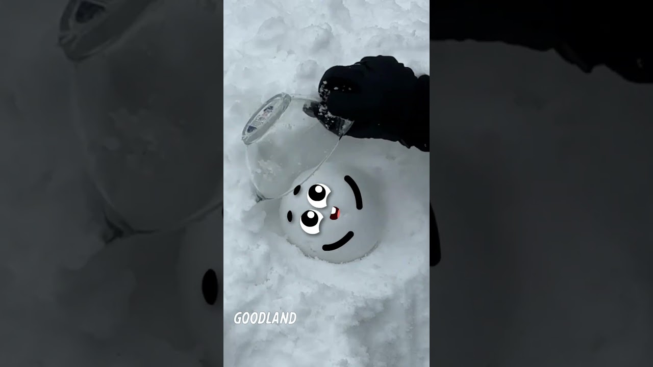 Goodland | Snowball and bowl 😂 #cartoon #doodles #animation