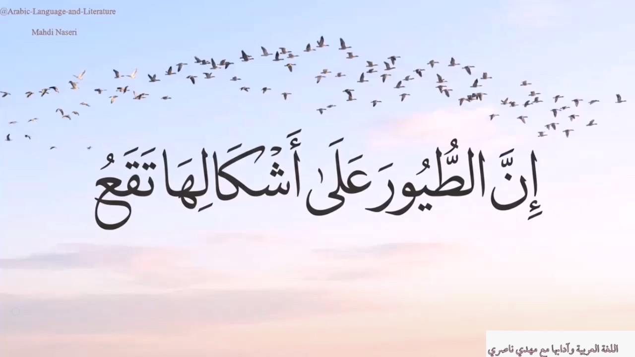 إنَّ الطُّيُورَ عَلَی‌ أَشكالِها تَقَعُ. || حكم وأمثال عربية
