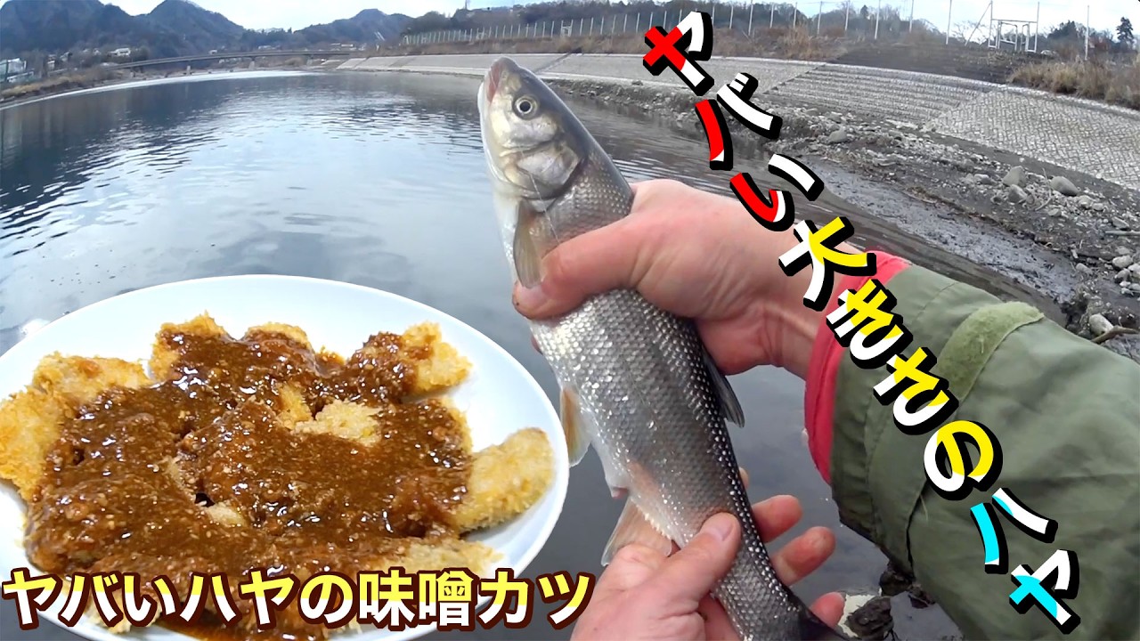 数十年に一度と言う大渇水の島田湖で魚釣りしてみた【ハヤで作る手前味噌かつ】