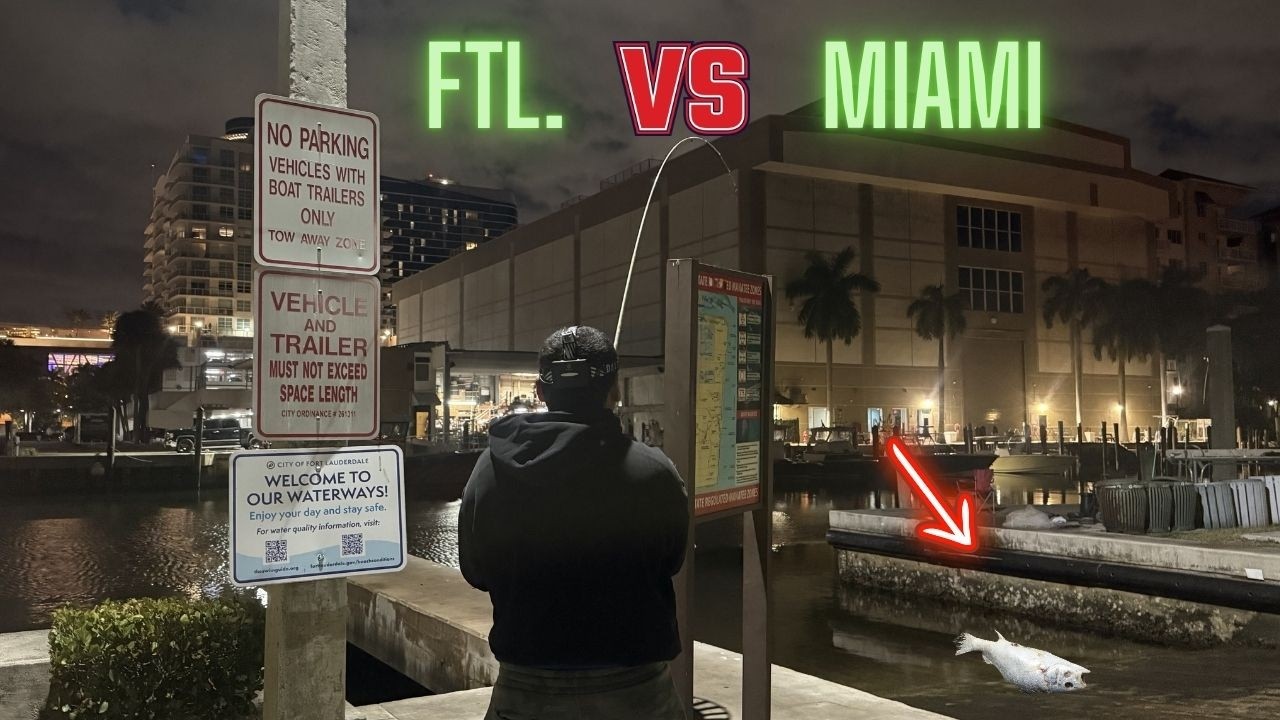 South Beach vs FT Lauderdale night fishing