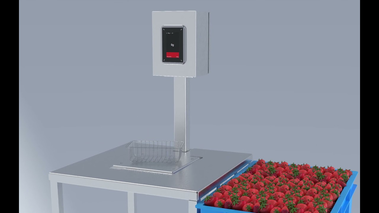 Packaging Automation MiWeigh Factory Intelligent Weighing System